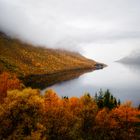 Herbstlicher Fjord auf Senja