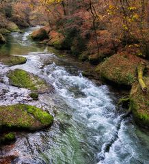 Herbstlicher Flusslauf