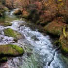 Herbstlicher Flusslauf