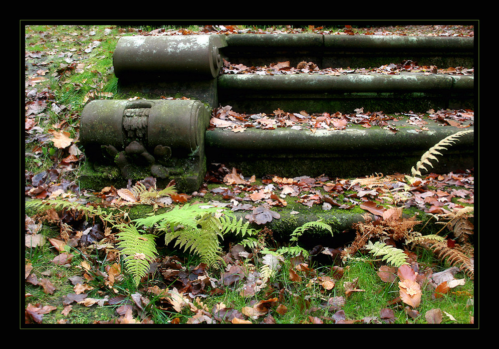 Herbstlicher Friedhof Ohlsdorf 2