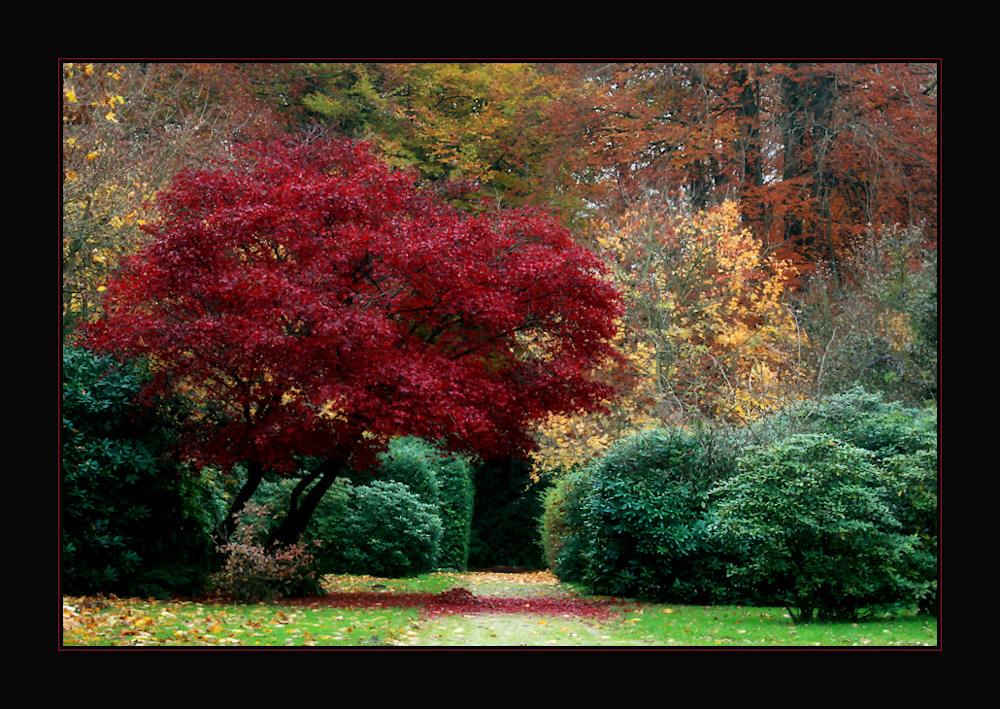 Herbstlicher Friedhof Ohlsdorf