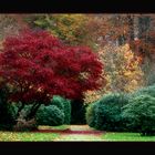 Herbstlicher Friedhof Ohlsdorf