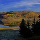 herbstlicher Frost