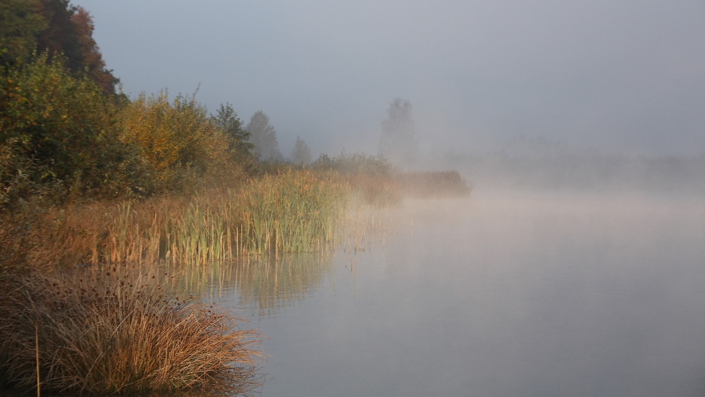 herbstlicher Frühnebel