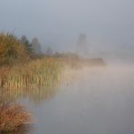 herbstlicher Frühnebel