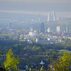 Herbstlicher-Frühnebel über