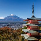 herbstlicher Fuji-Blick