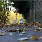 Herbstlicher Fussweg