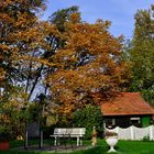 Herbstlicher Garten....