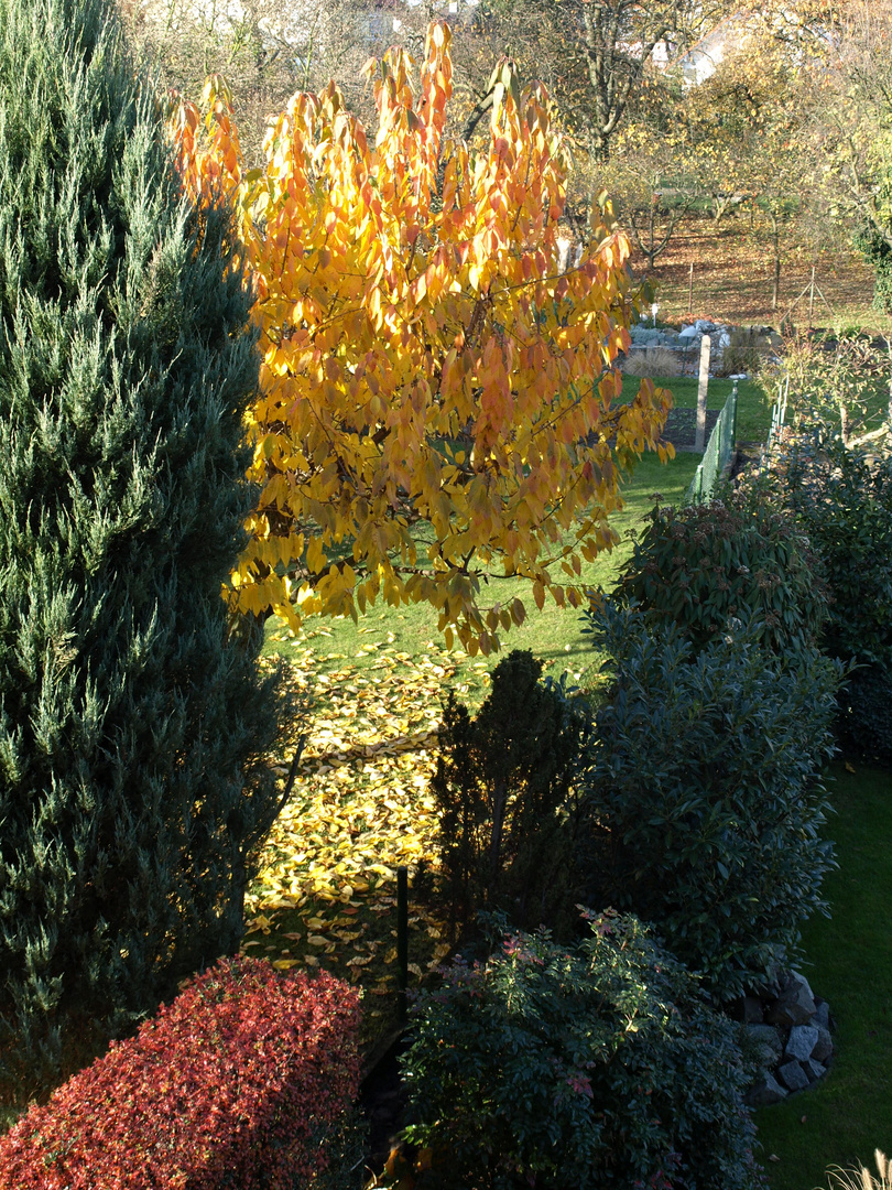 Herbstlicher Garten