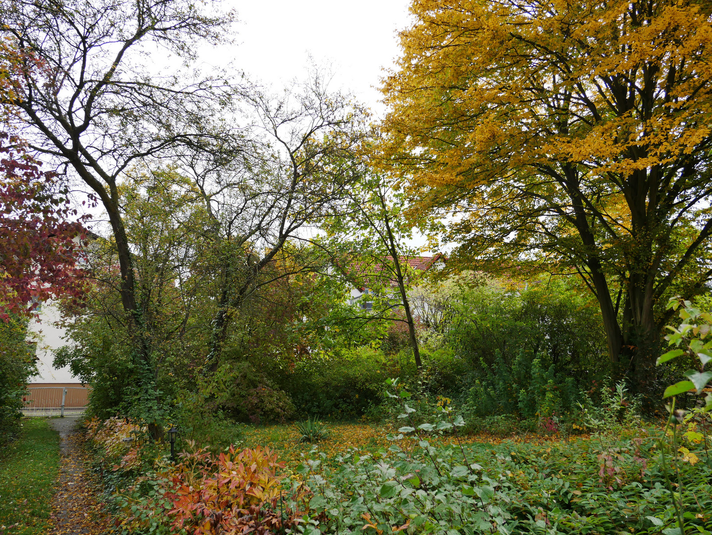 Herbstlicher Garten 