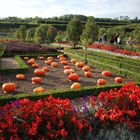 Herbstlicher Garten