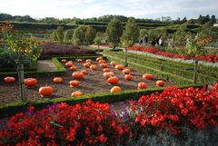 Herbstlicher Garten