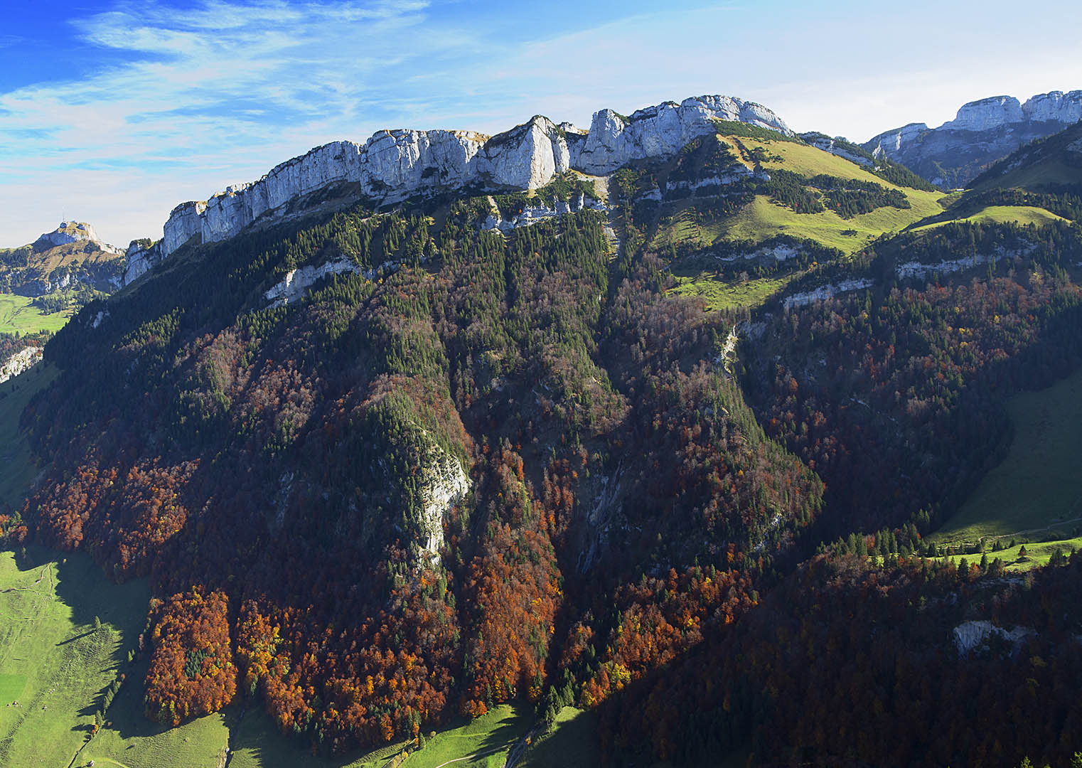 Herbstlicher Gebirgswald im Appenzell