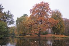 Herbstlicher Georgengarten.