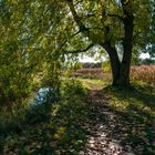 Herbstlicher Gilbach