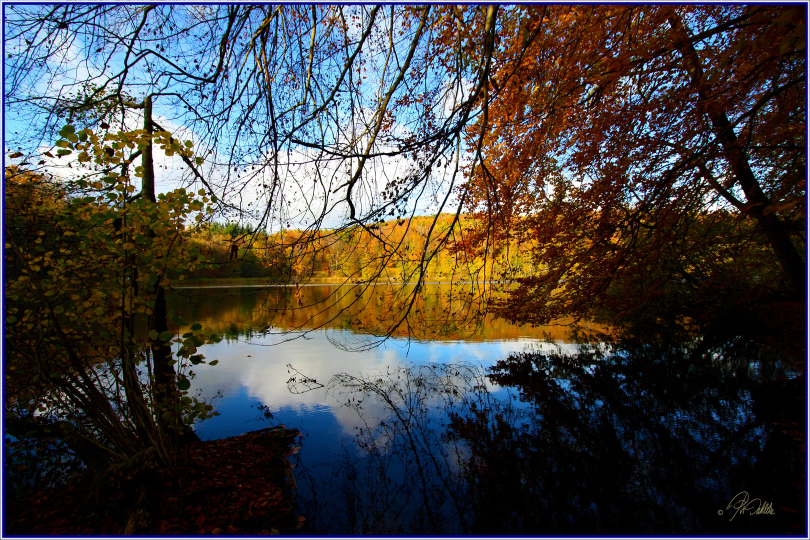 " herbstlicher Glanz "    Dienstag ist Spiegeltag  24.11.2012