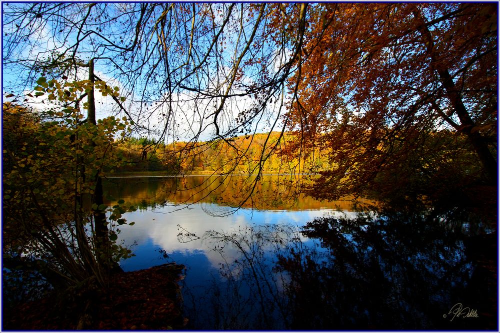 " herbstlicher Glanz "  Spiegeltag 24.11.2020