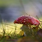 herbstlicher Glücksbringer