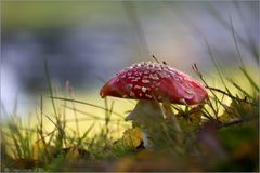 herbstlicher Glücksbringer