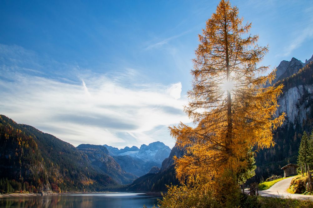 Herbstlicher Gosausee