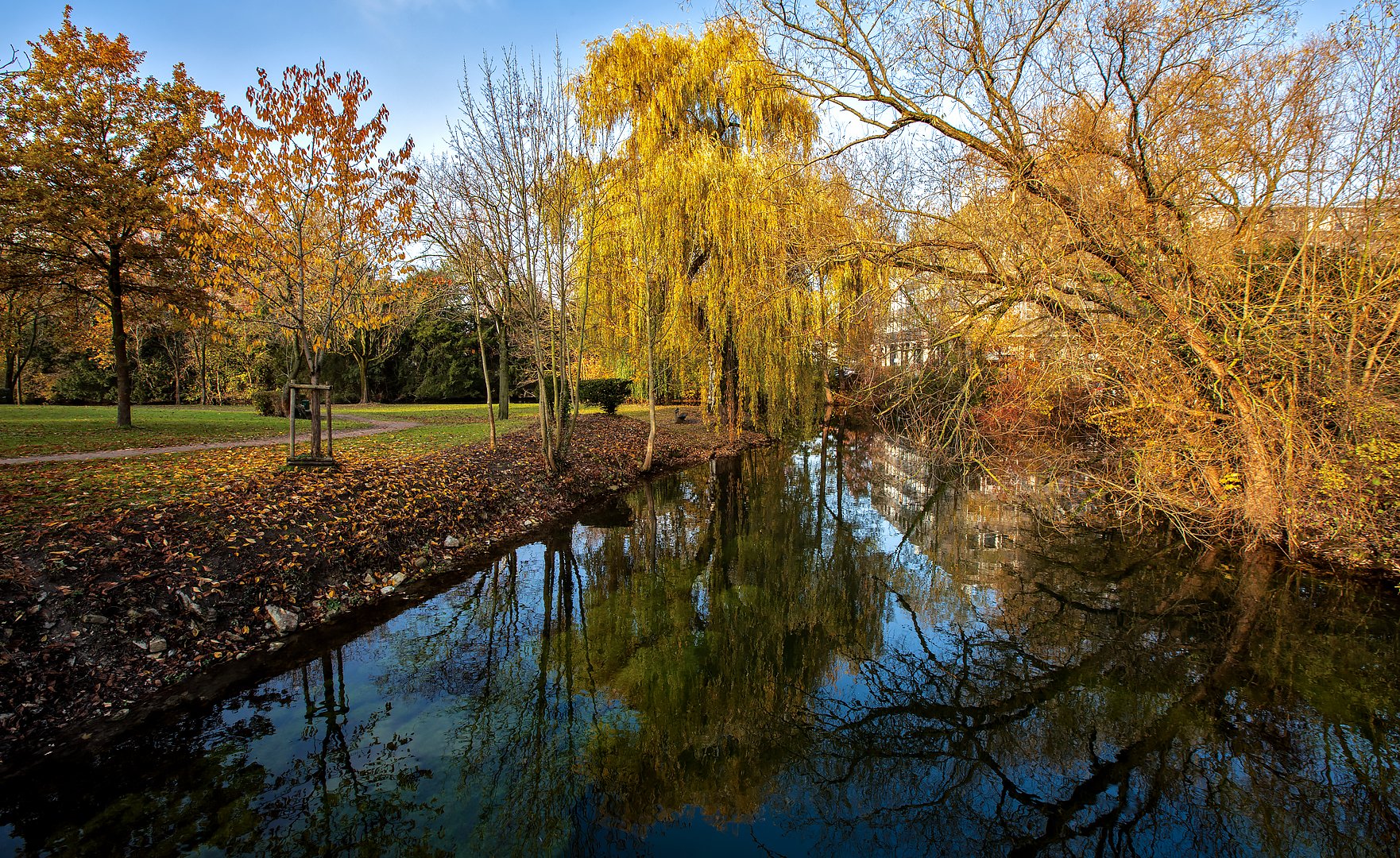 Herbstlicher Grüner-Winkel 001