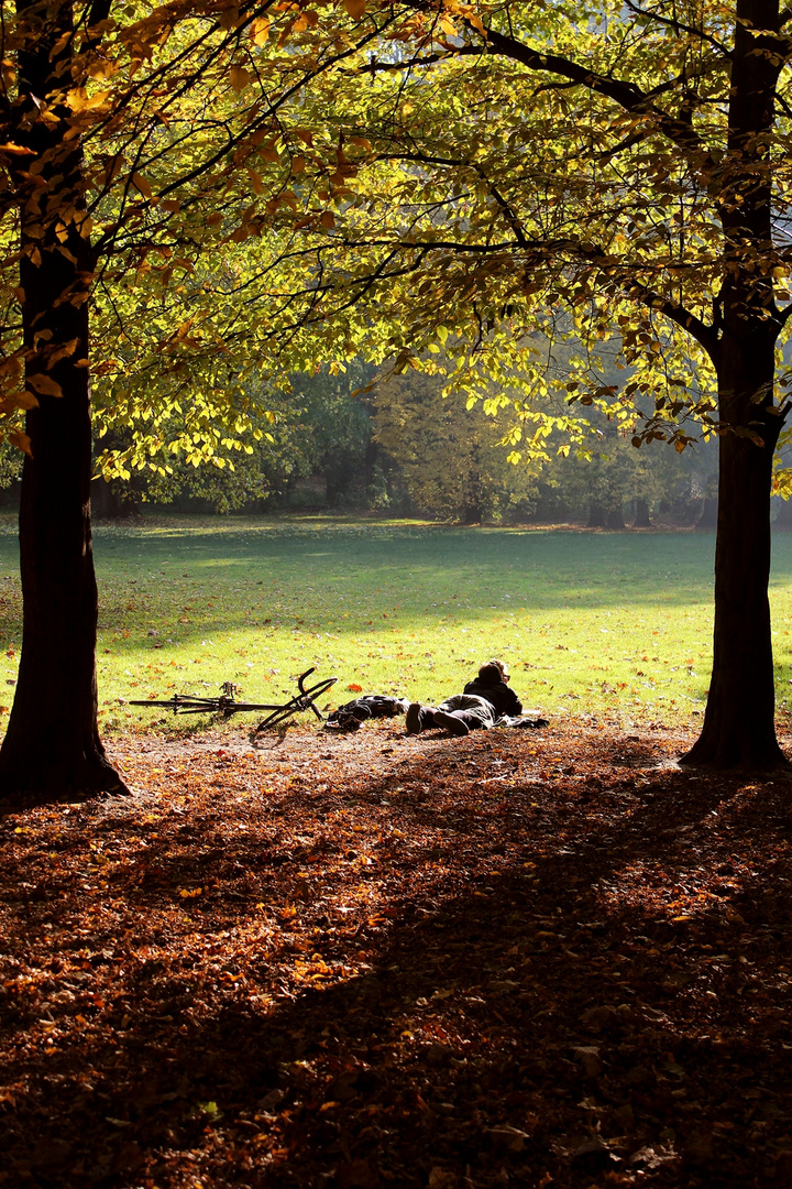 Herbstlicher Hain