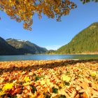 Herbstlicher Haldensee