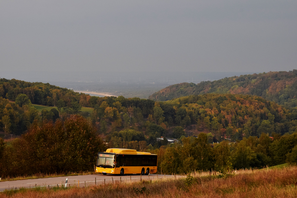 Herbstlicher Hallandsåsen