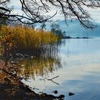 herbstlicher Hallwilersee