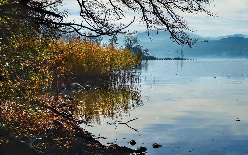 herbstlicher Hallwilersee