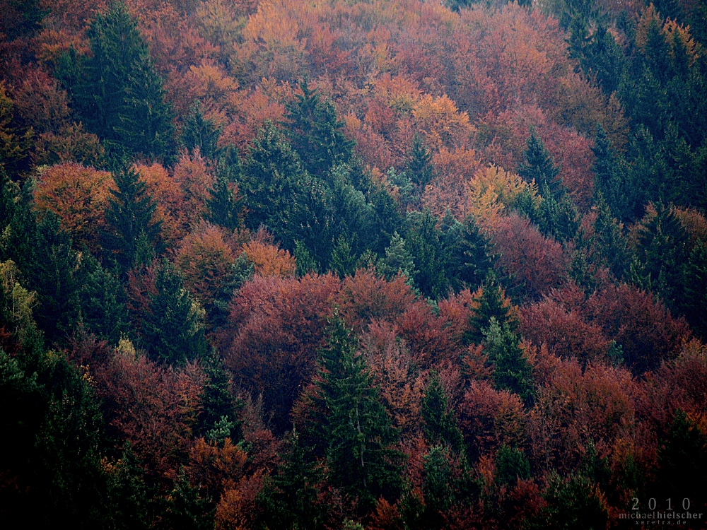 Herbstlicher Hang...