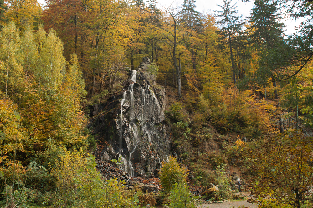 Herbstlicher Harz 3