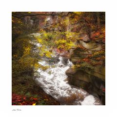 herbstlicher Harz