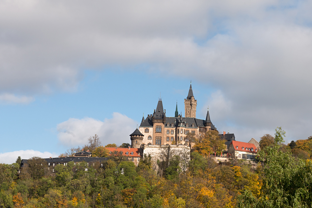 Herbstlicher Harz 4