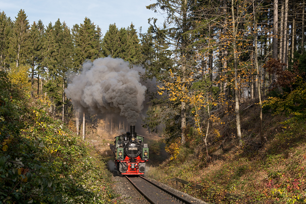 Herbstlicher Harz 5