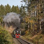 Herbstlicher Harz 5