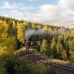 Herbstlicher Harz 6