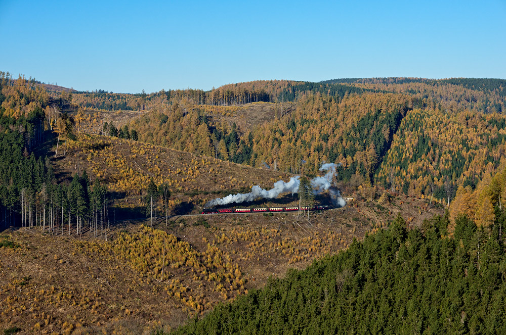 Herbstlicher Harz