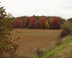 Herbstlicher Haßgau ...