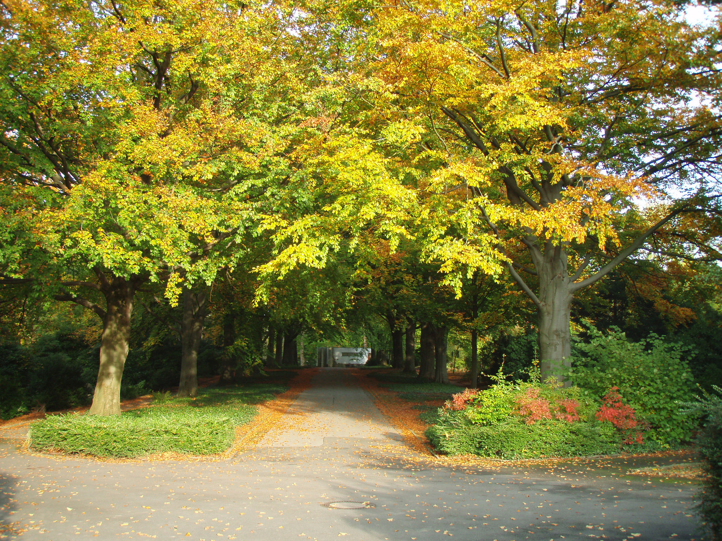 Herbstlicher Hauptfriedhof in Dortmund