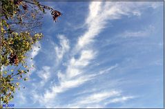 Herbstlicher Himmel