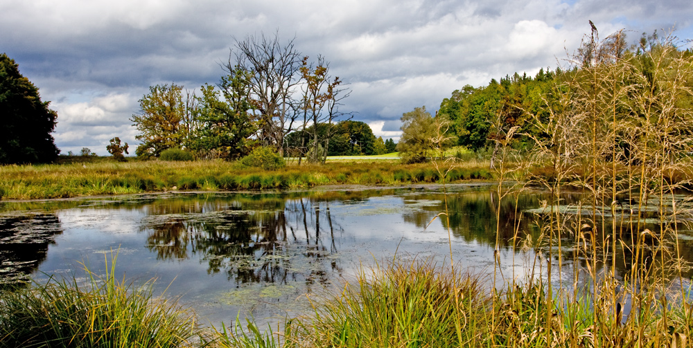 HERBSTLICHER HOCHMOOR BEI ANDECHS