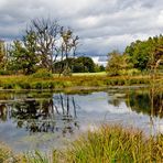 HERBSTLICHER HOCHMOOR BEI ANDECHS