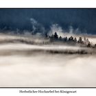 Herbstlicher Hochnebel bei Königswart