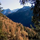 herbstlicher Hochwald im Sulztal