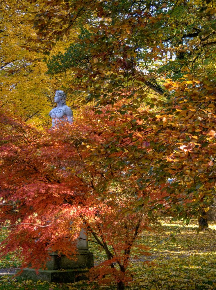 herbstlicher Hölderlin