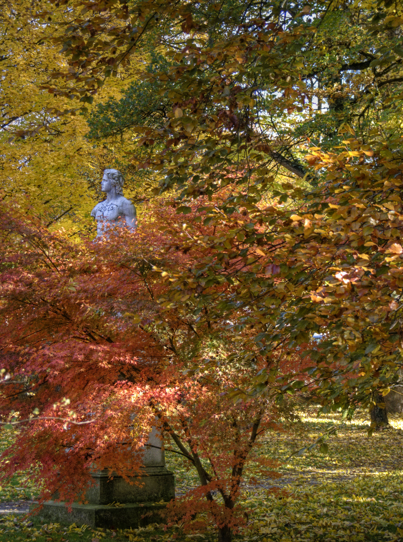 herbstlicher Hölderlin