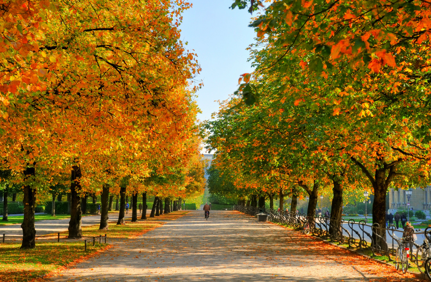 Herbstlicher Hofgarten