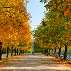 Herbstlicher Hofgarten